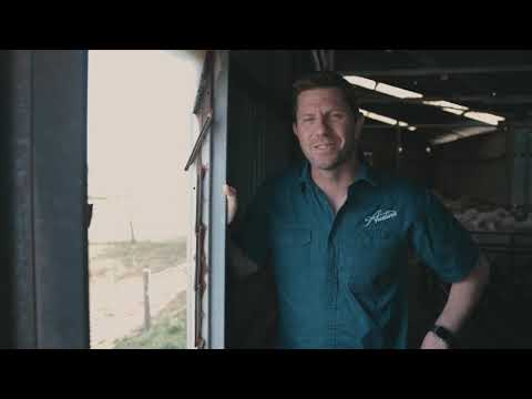 Austins Cellar Door Crowdfunding Campaign