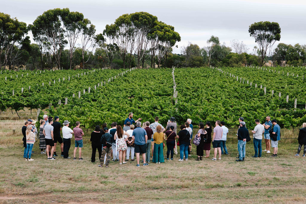 Rent a Vine workshop 2