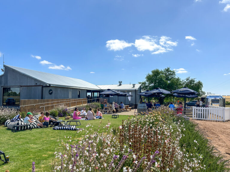 Hosting Winery Day Tour Guests at Austin’s Wines